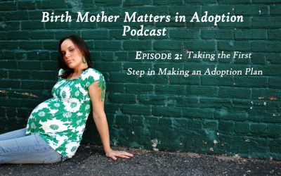 Birth Mother Matters in Adoption Episode 2 “Taking the First Step in Making a Plan”