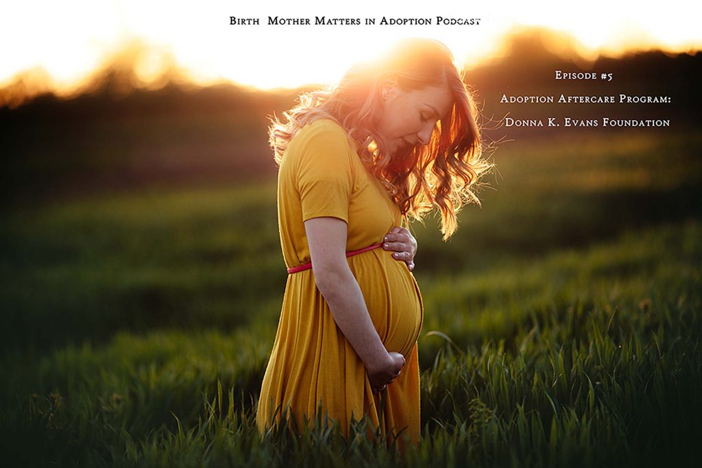 Birth Mother Matters in Adoption Episode #5 – Donna K. Evans Foundation Aftercare Program