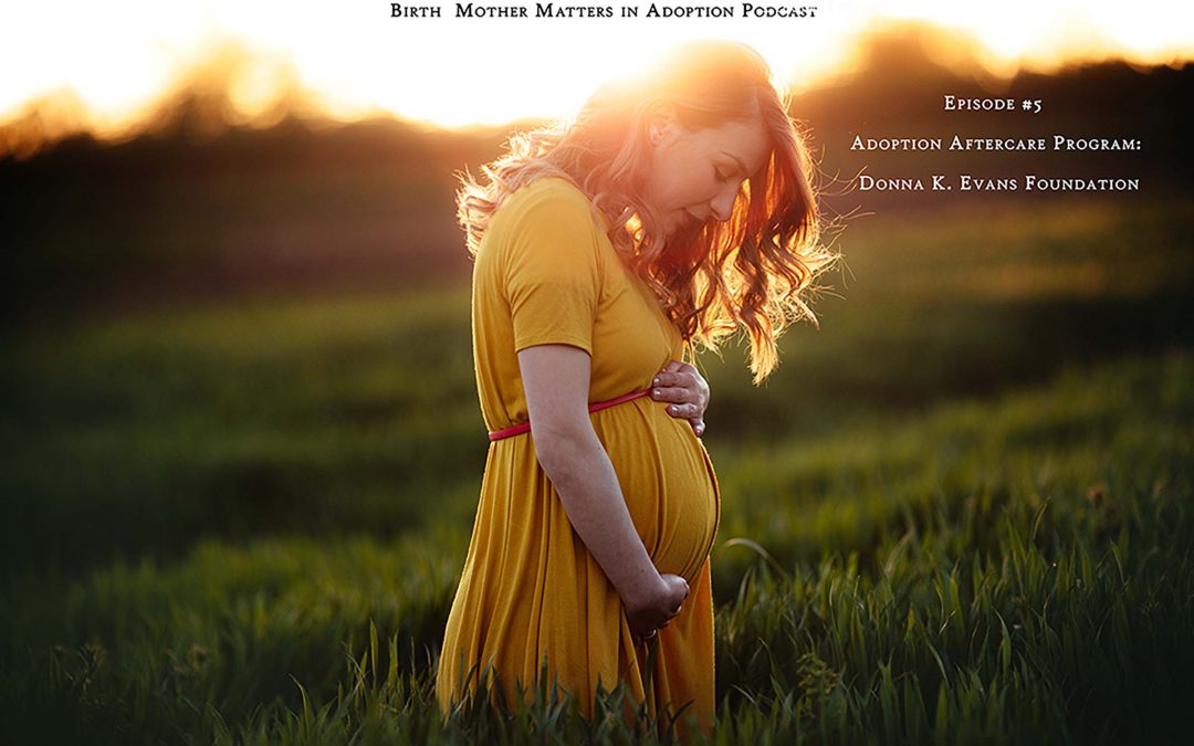 Birth Mother Matters in Adoption Episode #5 – Donna K. Evans Foundation Aftercare Program