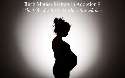 Birth Mother Matters in Adoption Episode #9 – Snowflakes