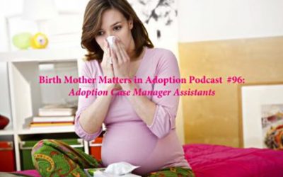 Birth Mother Matters in Adoption Episode #96 – Adoption Case Manager Assistants