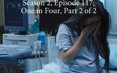 Birth Mother Matters in Adoption, Season 2 – Episode #117 – One in Four, Part 2 of 2