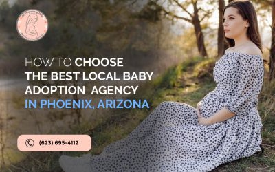 How to Choose the Best Local Baby Adoption Agency in Phoenix, Arizona