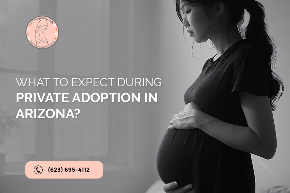 What to Expect During Private Adoption in Arizona?