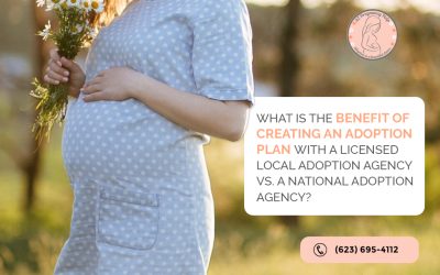 What Is the Benefit of Creating an Adoption Plan with A Licensed Local Adoption Agency Vs. A National Adoption Agency?