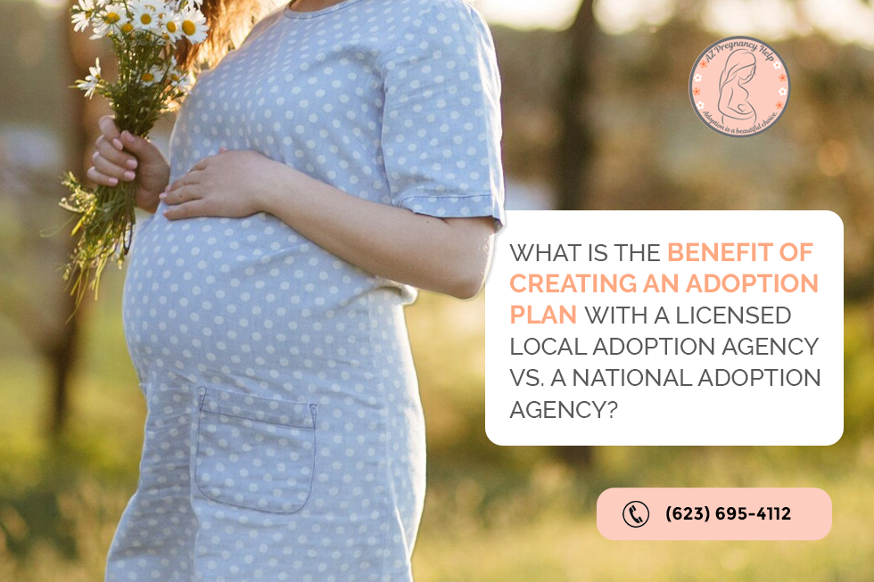 What Is the Benefit of Creating an Adoption Plan with A Licensed Local Adoption Agency Vs. A National Adoption Agency?