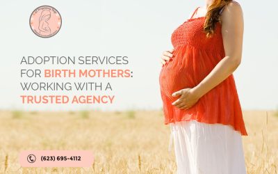 Adoption Services for Birth Mothers: Working with a Trusted Agency
