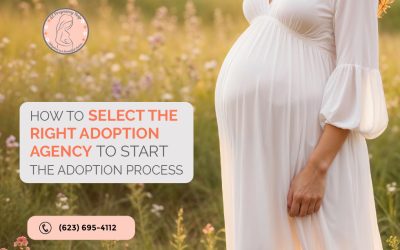 How to Select the Right Adoption Agency to Start the Adoption Process?