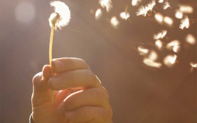 Birth Mother Matters in Adoption Podcast, Season 4: Episode 229: Let the Love Shine: An Adoptive Family’s Journey Part 2