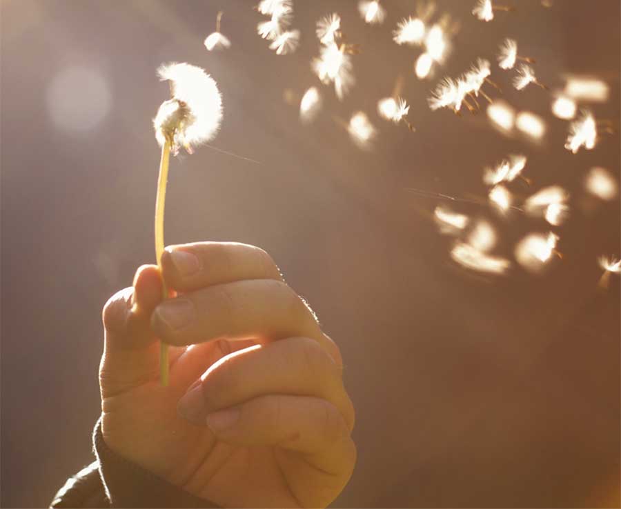 Birth Mother Matters in Adoption Podcast, Season 4: Episode 229: Let the Love Shine: An Adoptive Family’s Journey Part 2