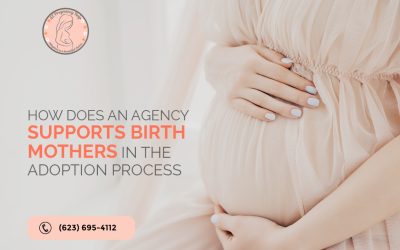 How does an Agency Support Birth Mothers in the Adoption Process?