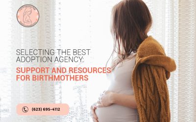 Selecting the Best Adoption Agency: Support and Resources for Birthmothers