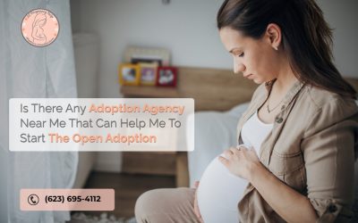 Is There Any Adoption Agency Near Me That Can Help Me To Start The Open Adoption
