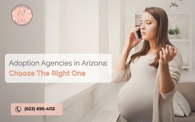 Adoption Agencies in Arizona: Choose The Right One